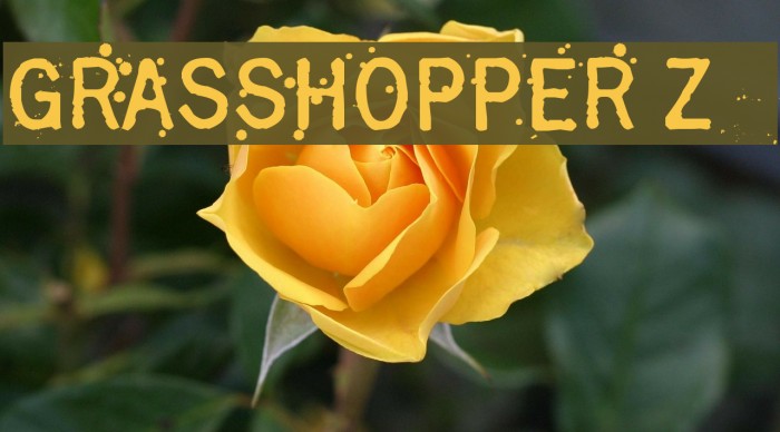 Grasshopper Z Example 1