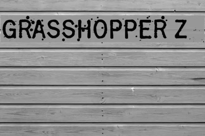 Grasshopper Z Font examples