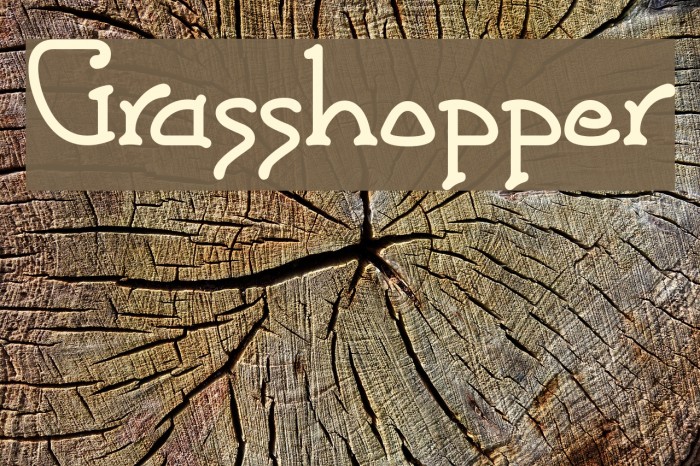 Grasshopper Font examples