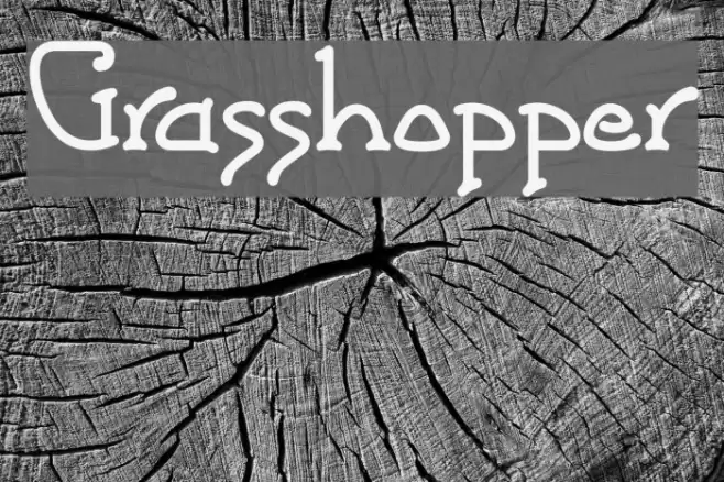 Grasshopper Fonte examples