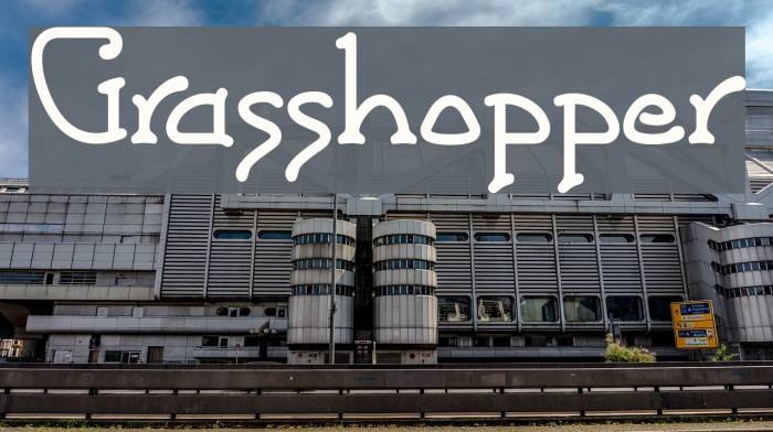 Grasshopper Font examples