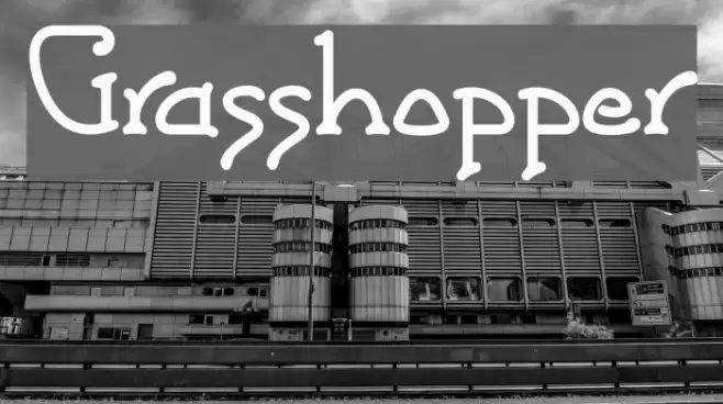 Grasshopper Fonte examples