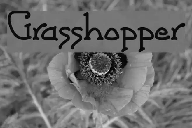 Grasshopper Fonte examples