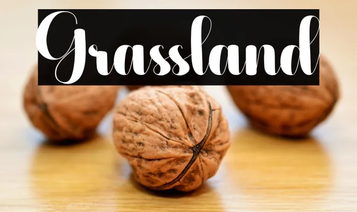Grassland Example 3