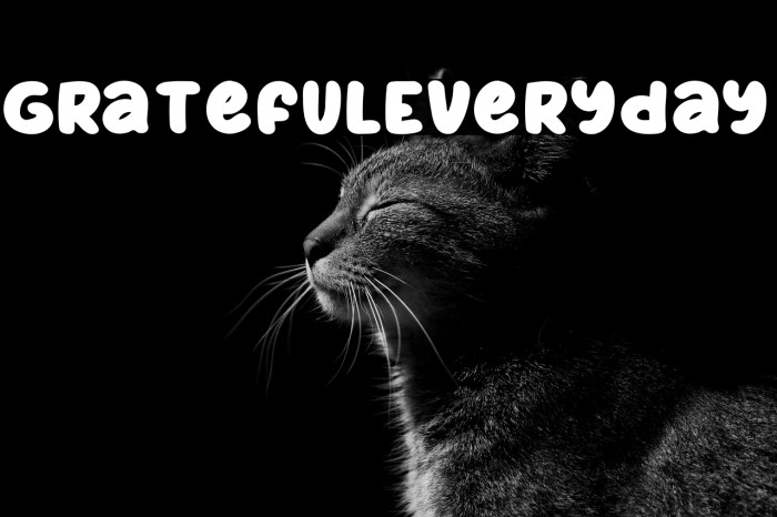 GratefulEveryday Example 1