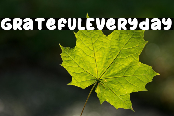 GratefulEveryday Example 2