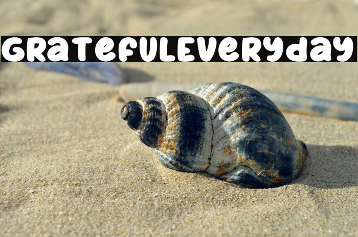 GratefulEveryday Example 3