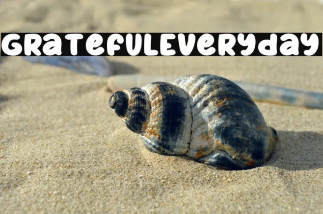 GratefulEveryday Example 3
