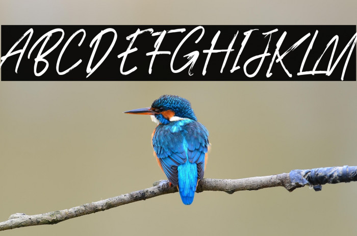 Gratosca Morgan Example 1