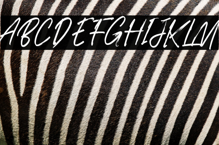 Gratosca Morgan Example 3