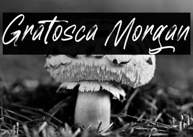 Gratosca Morgan Font examples