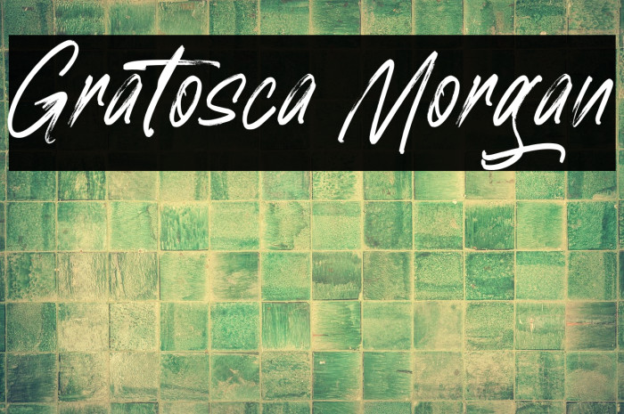 Gratosca Morgan Example 3