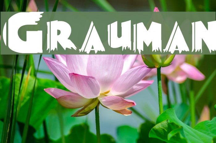 Grauman Font examples