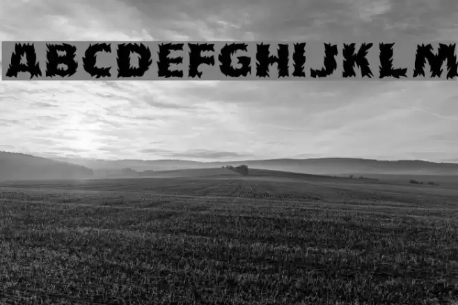 Grave 1 Polices examples