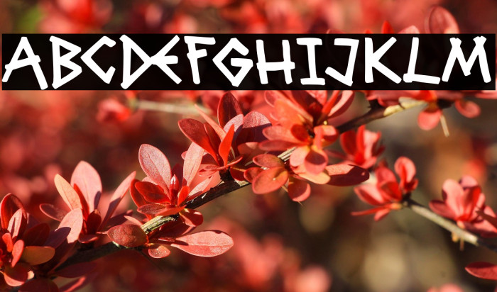 Grave Party Example 2