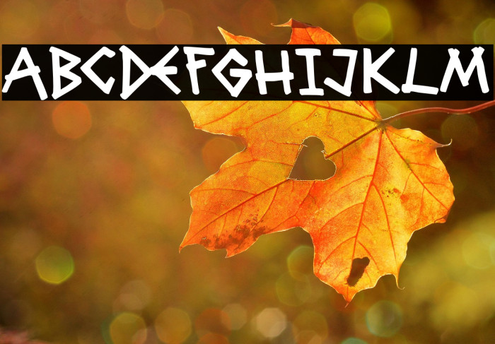 Grave Party Example 3