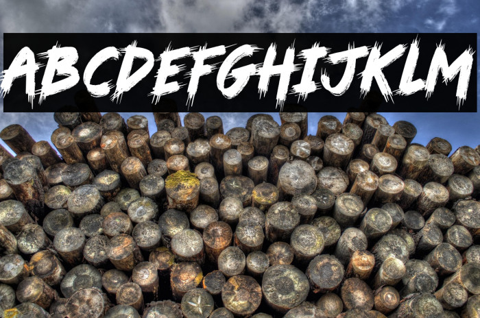 Grave Snatchers Example 3