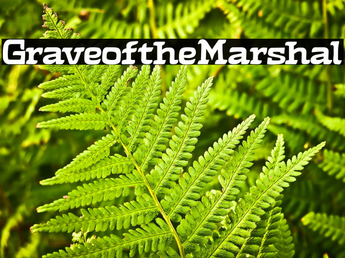 Grave of the Marshal Example 1