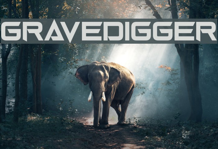 Gravedigger Font examples