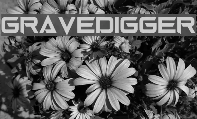 Gravedigger Шрифта examples
