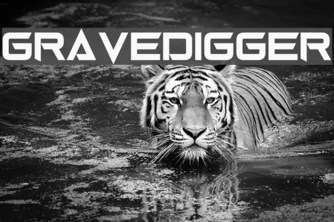 Gravedigger Шрифта examples
