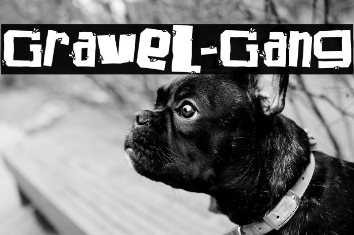 Gravel-Gang Example 3