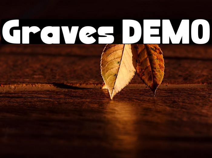 Graves DEMO Example 3