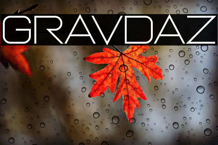 Gravidaz Example 3