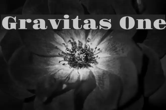 Gravitas One Font examples
