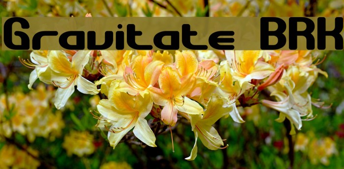 Gravitate BRK Шрифта examples
