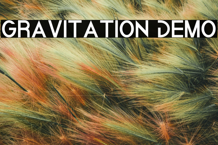 Gravitation Demo Example 1