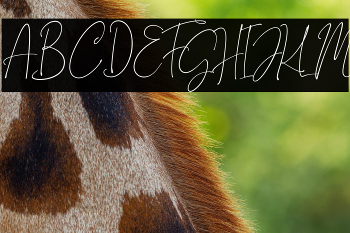 Gravity 3 Personal Use Example 1