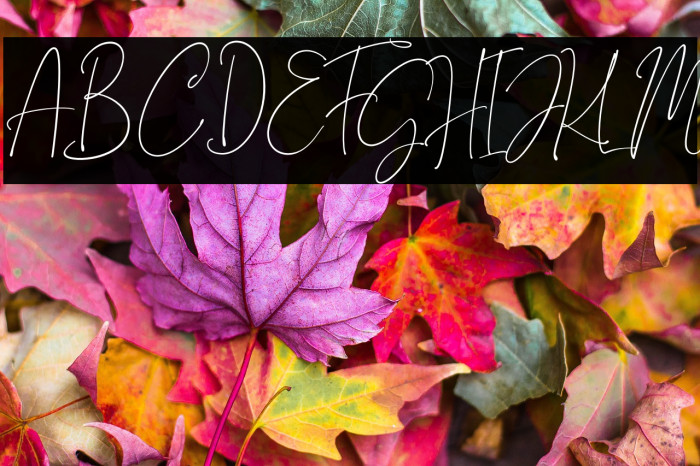 Gravity 3 Personal Use Example 2