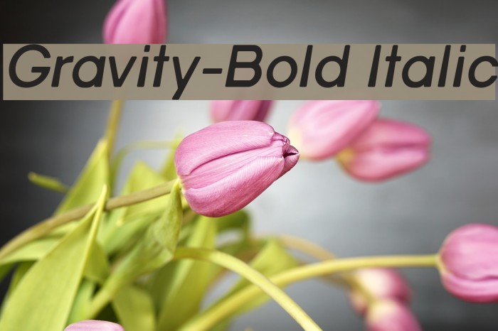 Gravity-Bold Italic Font examples
