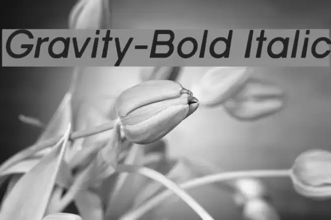 Gravity-Bold Italic Polices examples