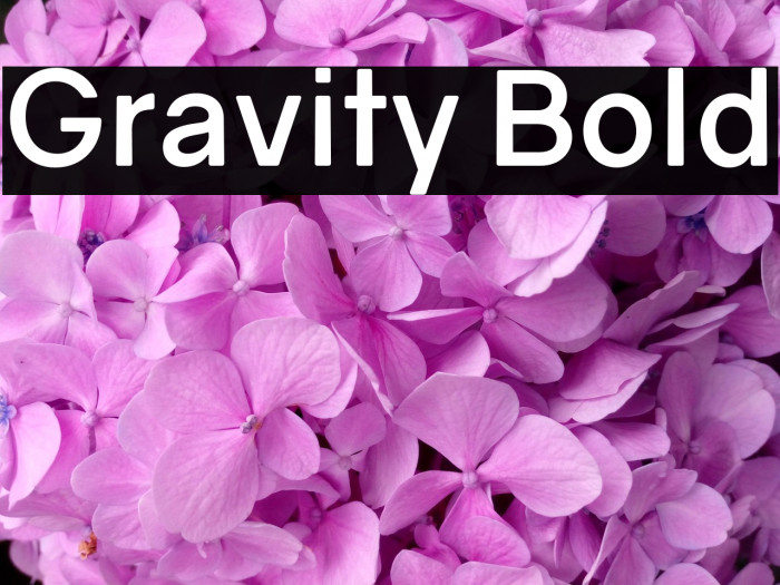 Gravity Bold Example 1