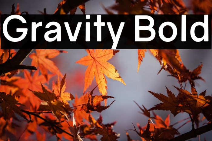 Gravity Bold Example 2