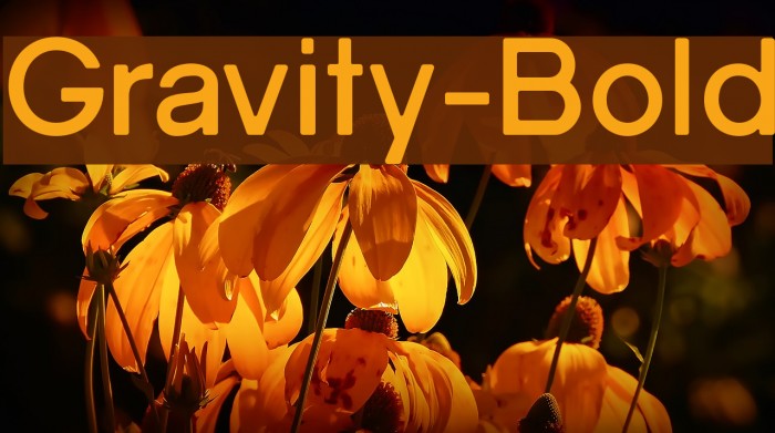 Gravity-Bold Font examples