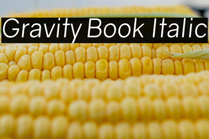 Gravity Book Italic Example 2