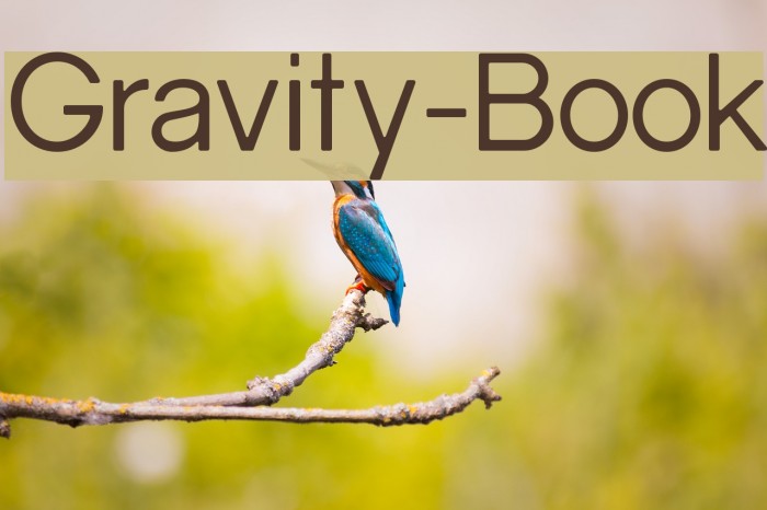Gravity-Book Font examples