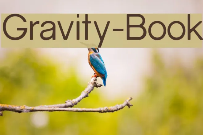 Gravity-Book Example 2