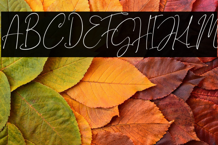 Gravity Handwritten Example 3