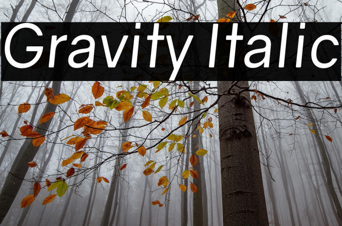 Gravity Italic Example 1