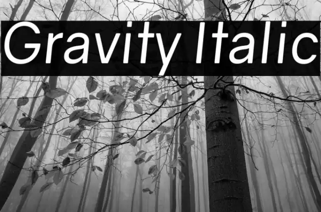 Gravity Italic Font examples