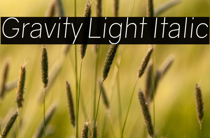Gravity Light Italic Example 2