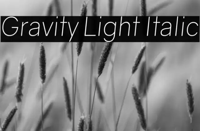Gravity Light Italic Font examples