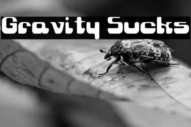 Gravity Sucks Fonte examples