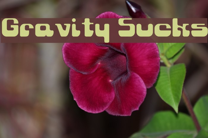 Gravity Sucks Example 3