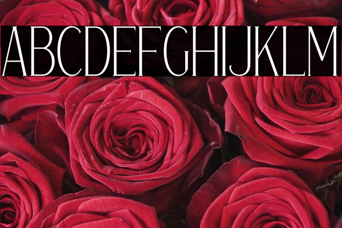 Gravity Ventore Example 2