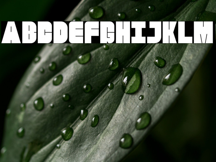 Gravon PERSONAL USE ONLY! Шрифта examples